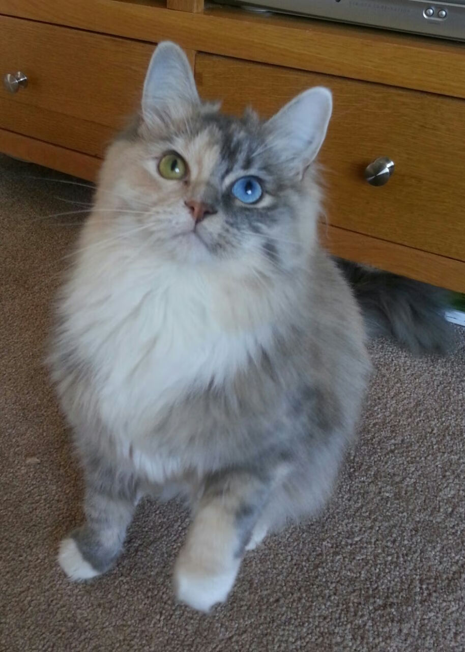 爱游戏官网-输赢一线间，那些改写剧本的33分钟—当兹维列夫从法网悲情中点燃温网烈焰