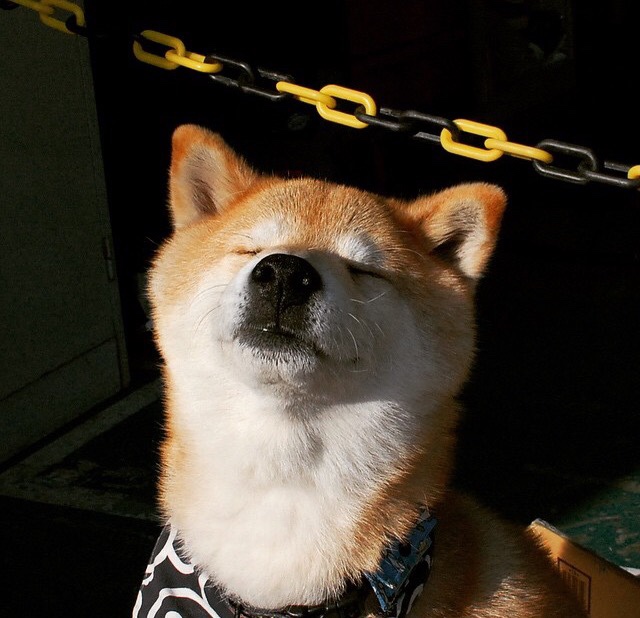 瑞士军刀切开红色战马,皮亚斯特里与索伯的银石奇迹