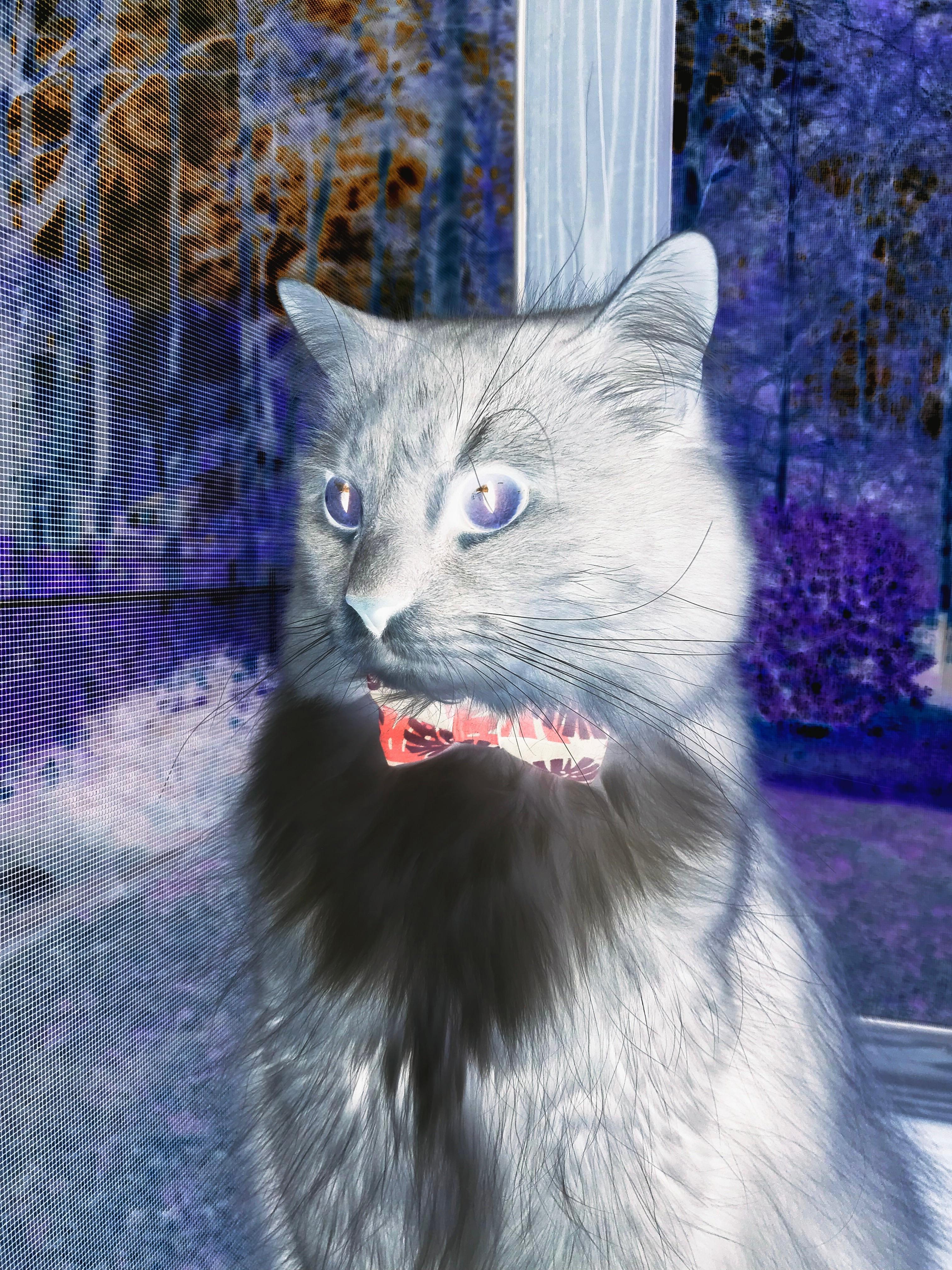 当蓝月辉光照亮红魔,一记曼城式绝杀与一个法国中场的无声统治