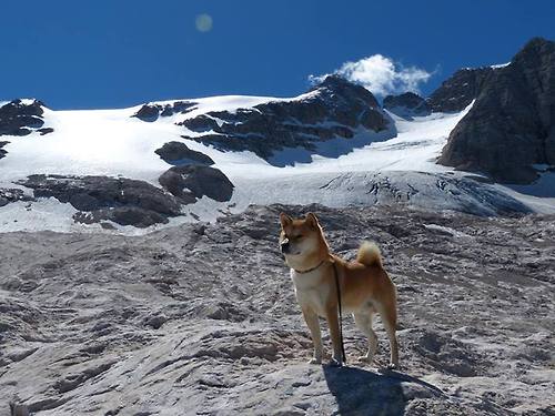 跨越绿茵场与乒乓球台,当德意志铁骑遭遇东方极速