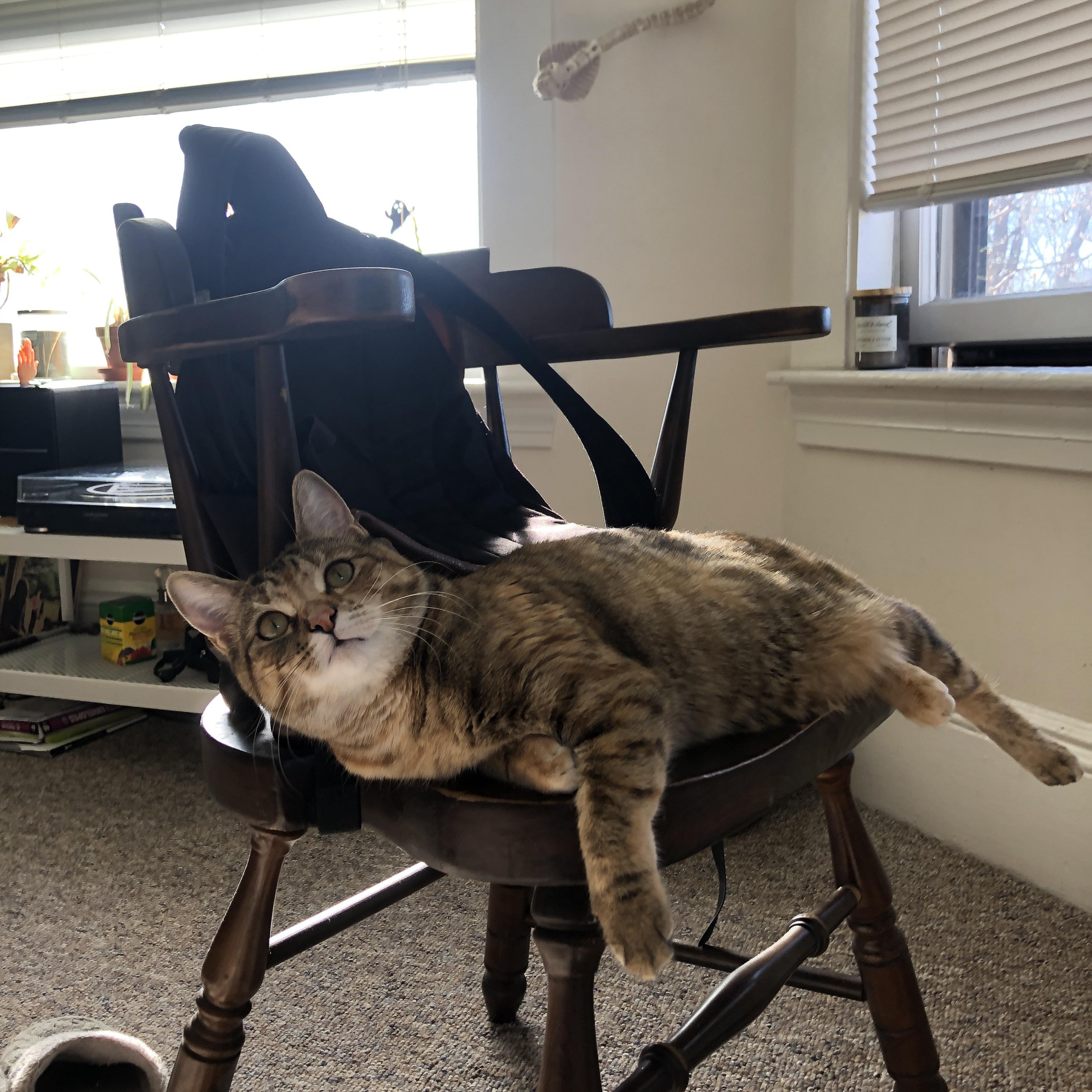 当东欧组合缺席，达拉斯升起新字母哥