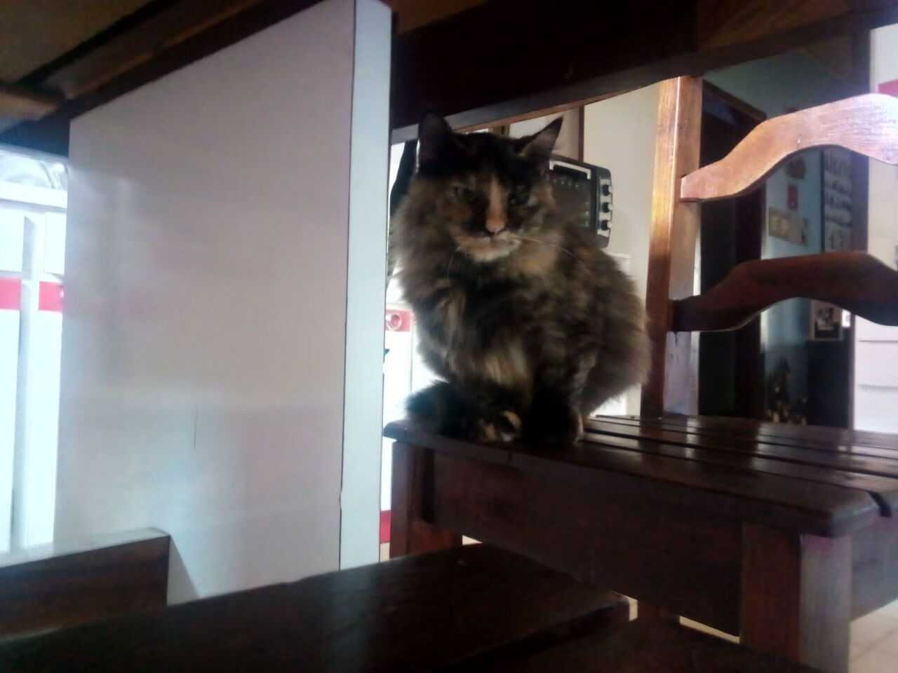 西决生死战之夜，内马尔以领袖之姿扛起全队