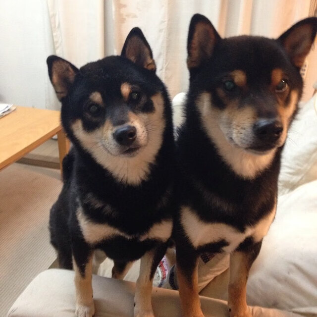 (扩展思维后拟定的三个备选)