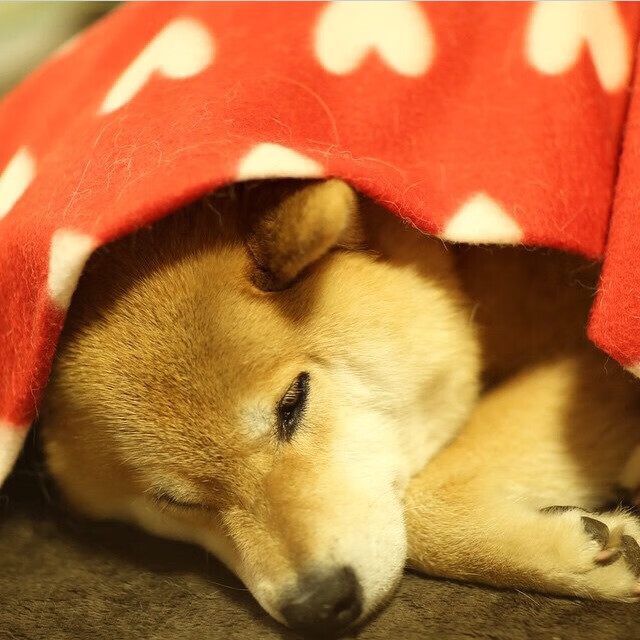 斗牛士之矛刺穿奥林匹斯山,当足球精灵加维在NBA总决赛的绿茵地接管比赛