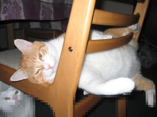 爱游戏体育-以下是根据这一思路为您构思的文章