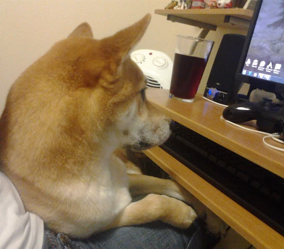 绝境逆袭！澳大利亚加时鏖战险胜希腊，无名英雄奥利维耶化身关键先生