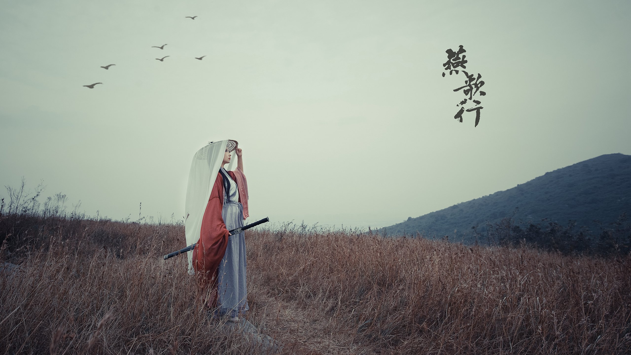 霍勒迪决胜时刻显神威，鹈鹕血拼魔术惊险取胜