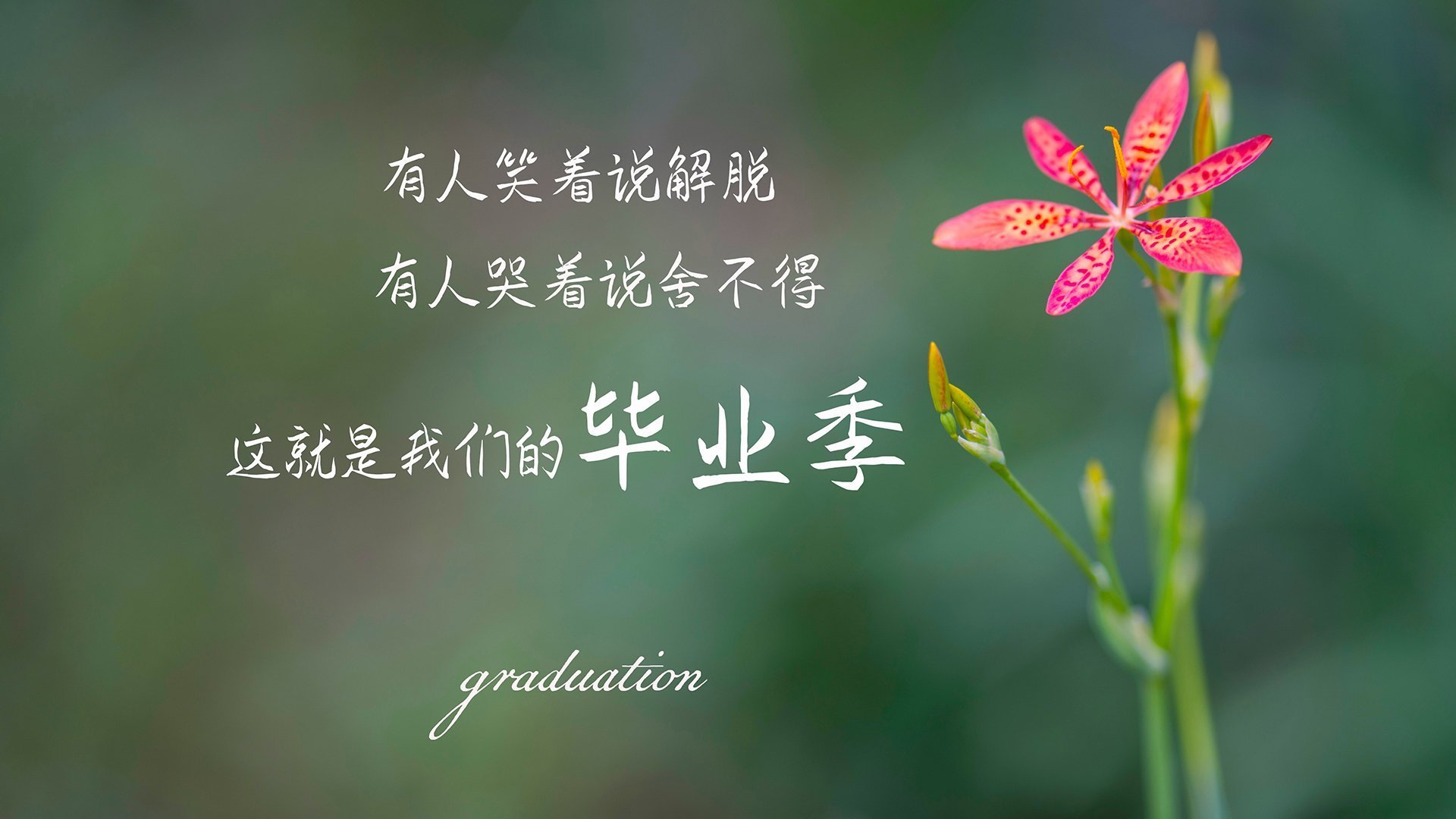 蓝色智慧吞噬天蓝防线，若日尼奥导演的战术完胜