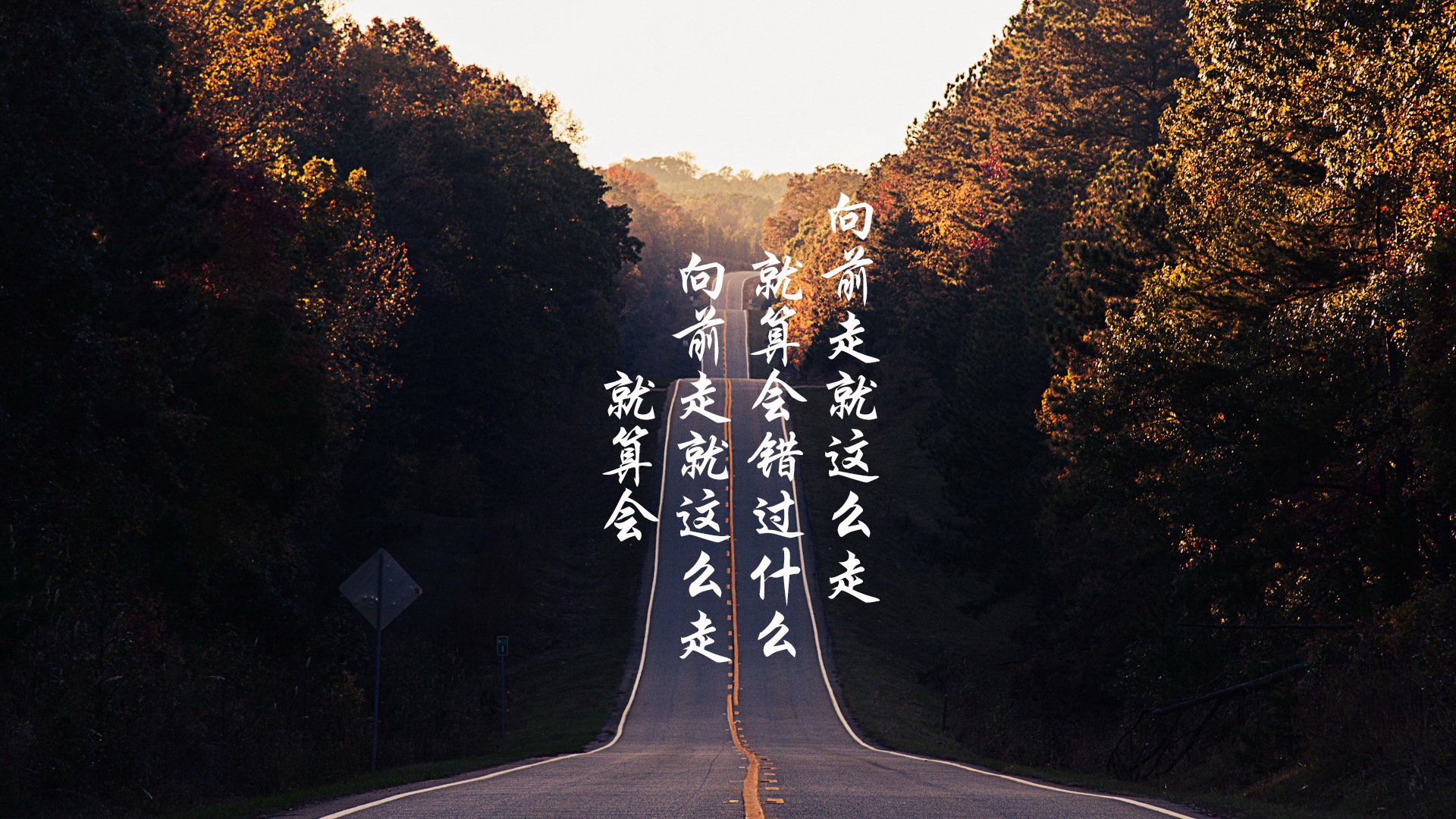 孤星耀世，2026世界杯E组，葡萄牙铁骑碾压波兰，坎塞洛独舞点燃边路烽火