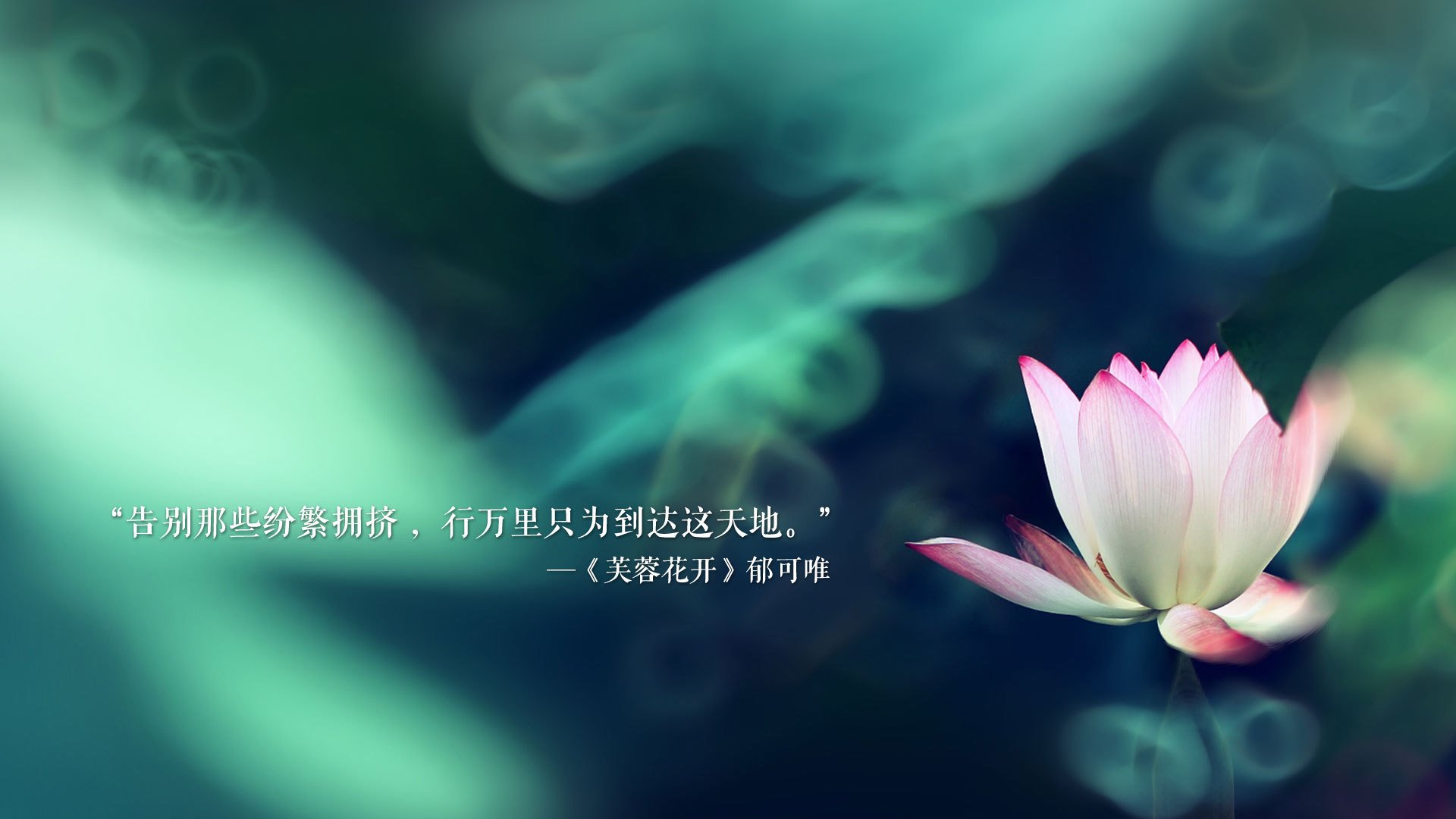 爱游戏APP-独步天下，2026世界杯D组焦点战，德布劳内导演传奇，葡萄牙绝杀荷兰书写唯一剧本