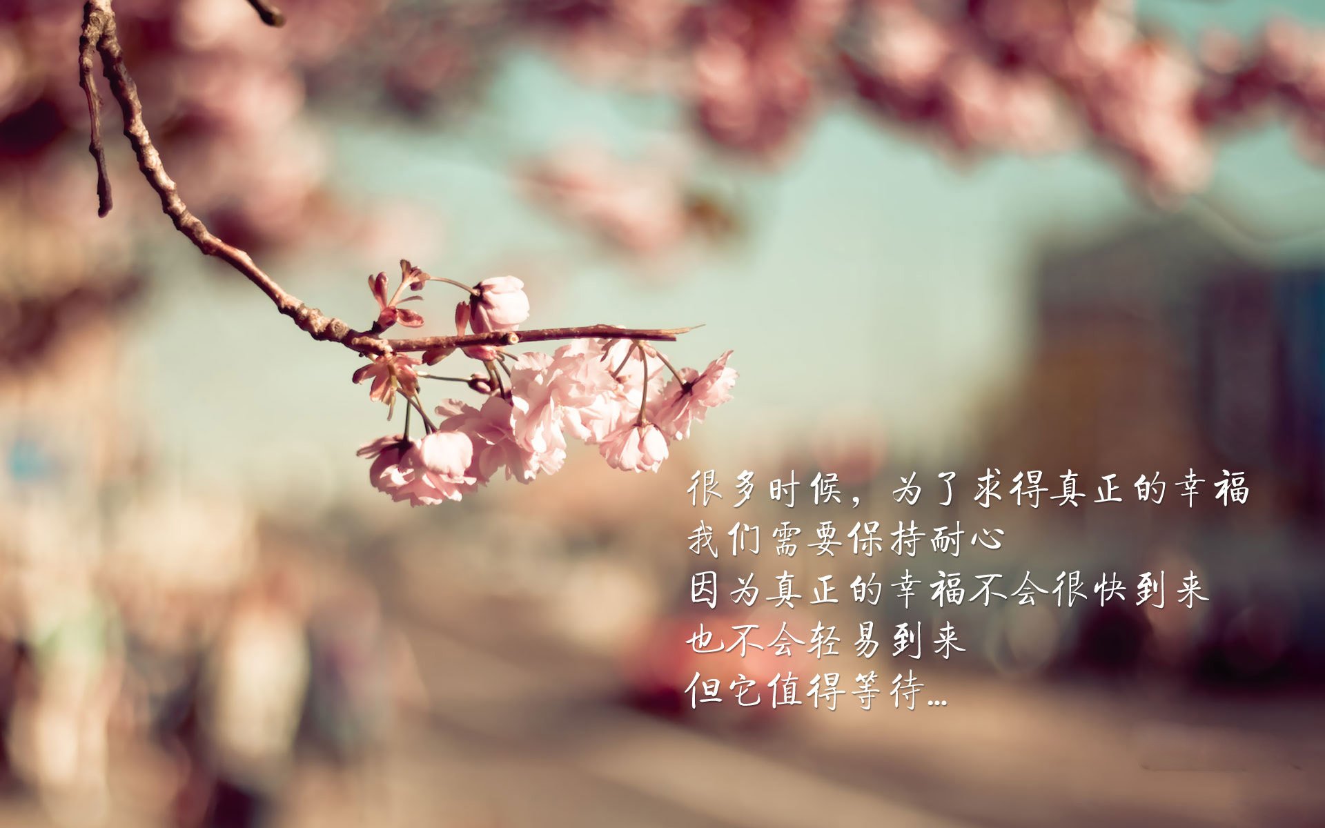 爱游戏下载-逆转之夜，2026世界杯G组，哈基米点燃挪威奇迹，美国梦碎最后一刻